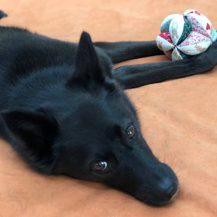 8cc82100 dc76 4382 814a 292d14fdce9c 1597445841427