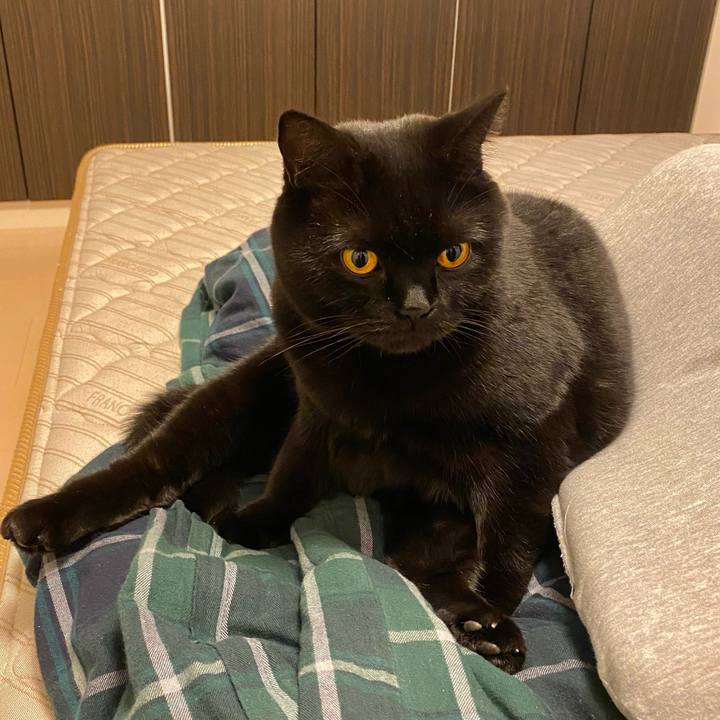 8cc838a7 5fd1 4c66 9c46 7e31ff706dab 1605606038255