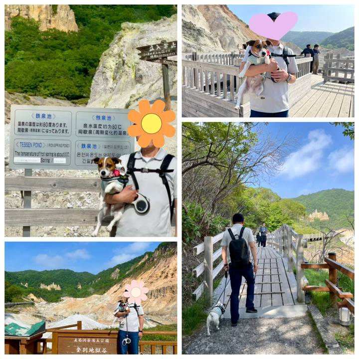 8cc855d7 eabb 4a50 8c02 1c0c13295dc8 1719720837941