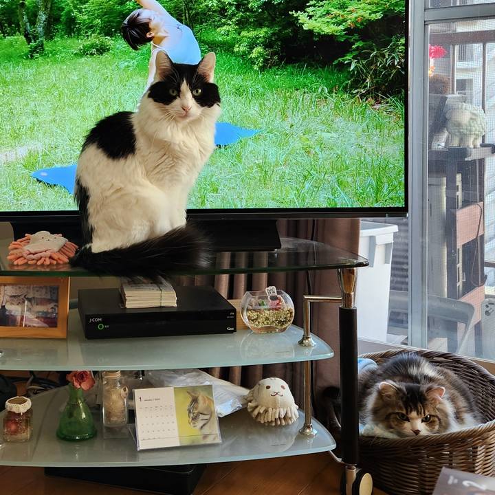 8cc87b92 ee4c 481f bac8 aad43211902b 1707528492550