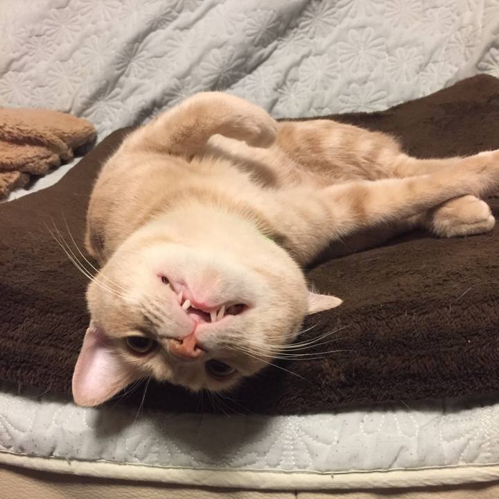 8cc87dd2 eacc 4bb4 abc0 4bdf3d4e6f0b 1557403294063