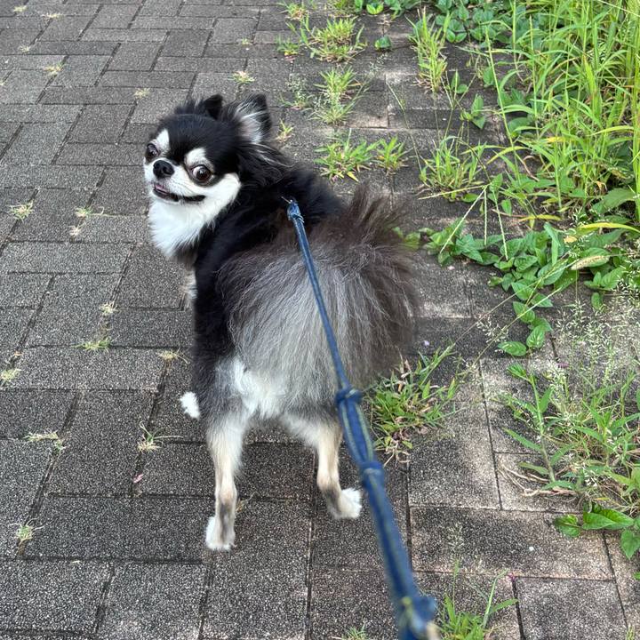 8cc8c510 1cf8 40cf 9ba8 1e7956c16e2d 1756051702553