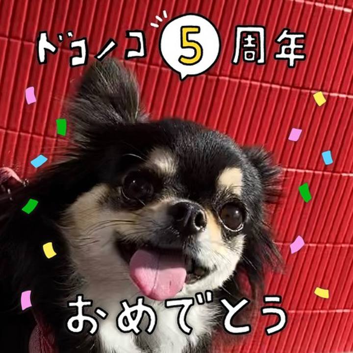 8cc8d00c 58f6 4e48 8da0 13384b27302c 1622872200754