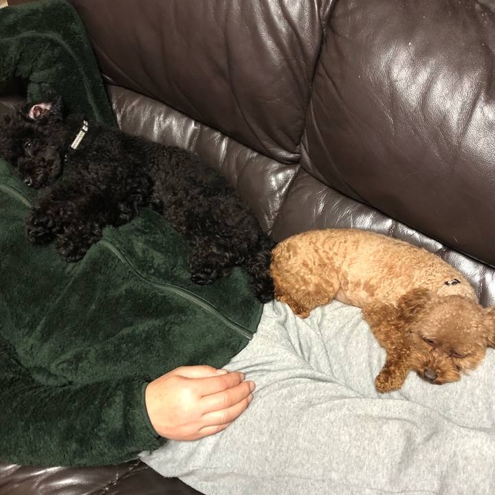 8cc8d343 e54b 43d0 bd37 f6c834823bf6 1544534381191