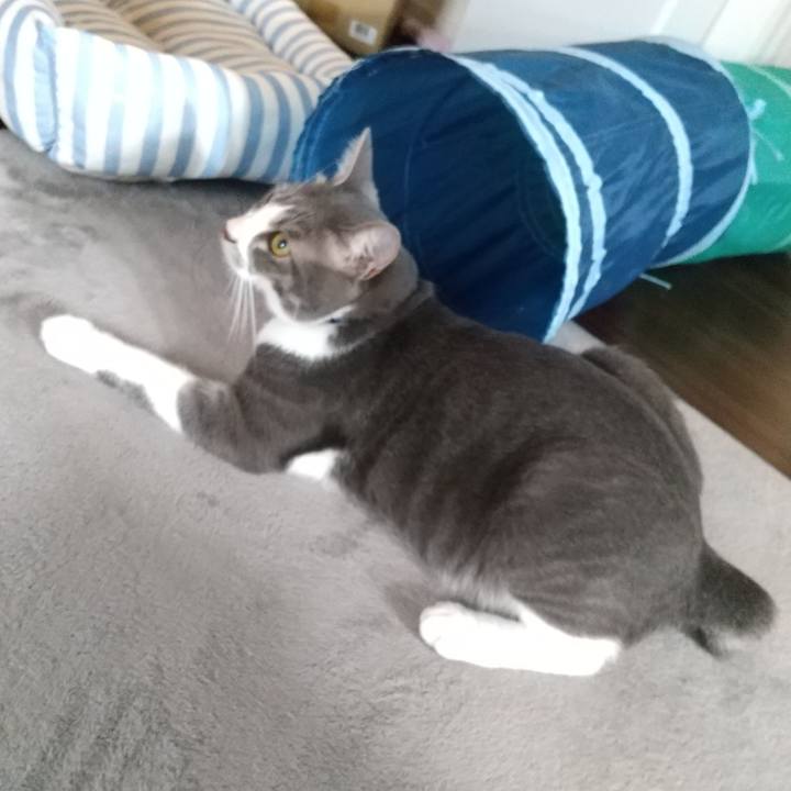 8cc911c3 46e3 4704 b344 22c2b7fbff4a 1596496143658