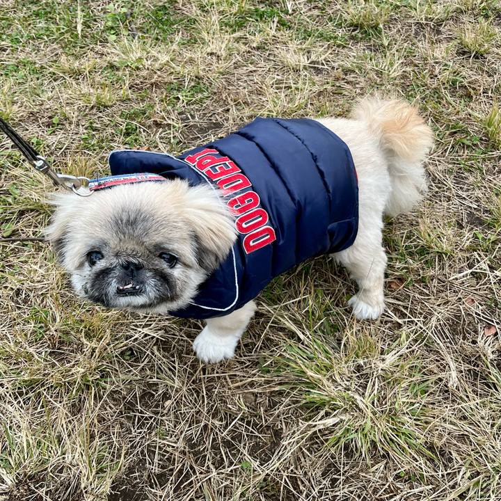 8cc91846 bb68 4bfe 9886 803de5c0eca0 1763078982087