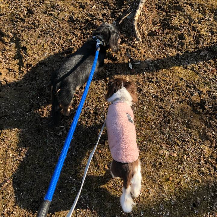 8cc92be1 eb4d 4be7 975d 79371045eb91 1613864821959