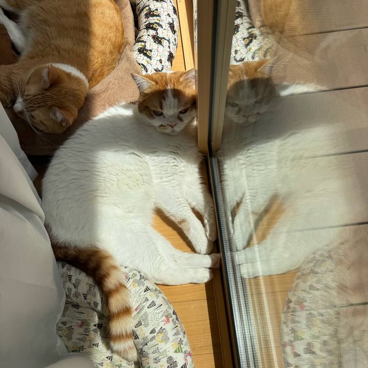 8cc95430 15f4 475b 9eca 2790bc01e65f 1776085230391