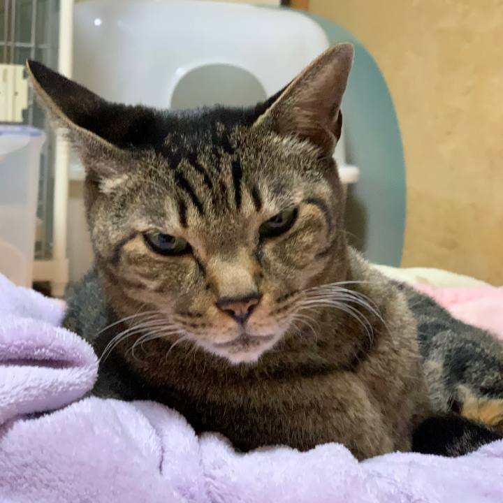 8cc96136 9b9c 4eb0 b611 75bc4ec0e867 1549588557970