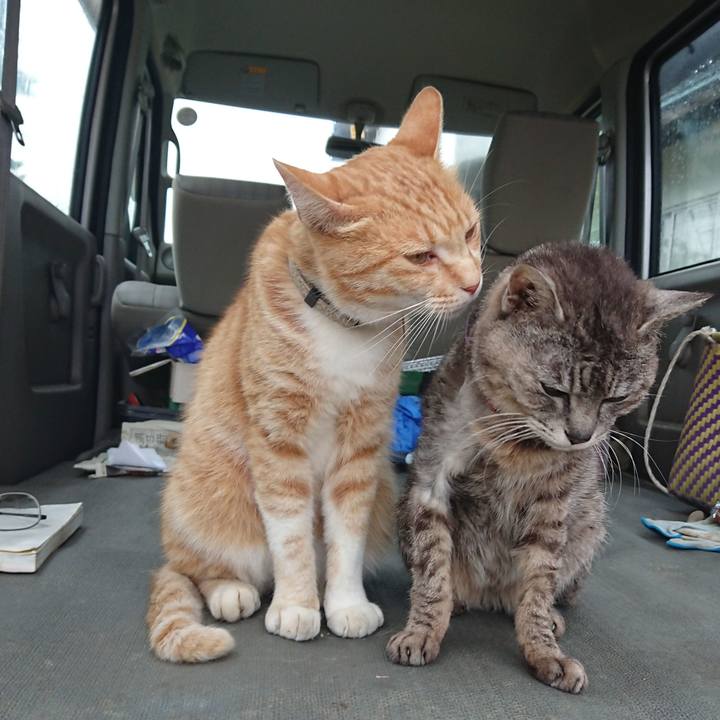 8cc97491 4db0 4112 82a9 c65f5ff6b5fa 1592121820340