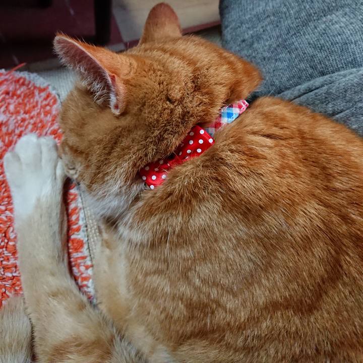 8cc97727 b7f9 401e 8e01 9f8af89101e0 1576371342077