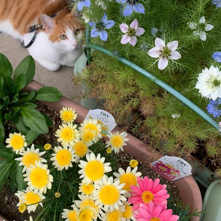 8cc9c512 a1ab 47d2 ab2b b72730d55e0e 1622254071884