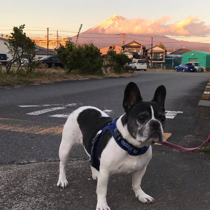 8cc9fa40 44e4 4b14 a692 8d460224b956 1546343359128