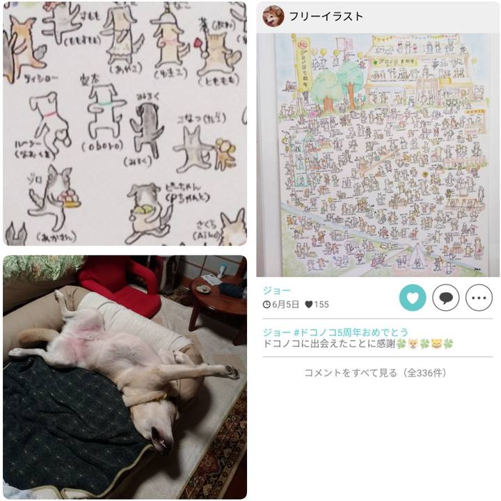 8cca03d3 b79c 4a1d 9d6d 7700c94197de 1622984240753