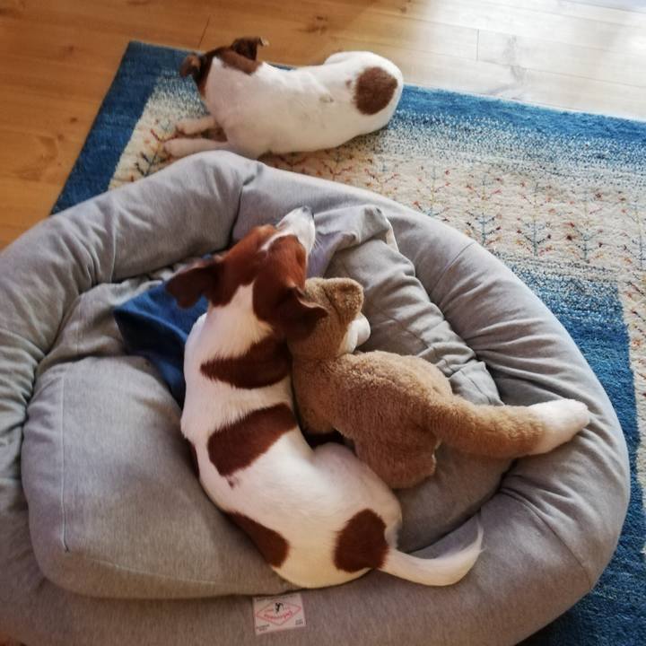 8cca3947 2281 49c3 b3c9 6bdf1fc78713 1551539026932