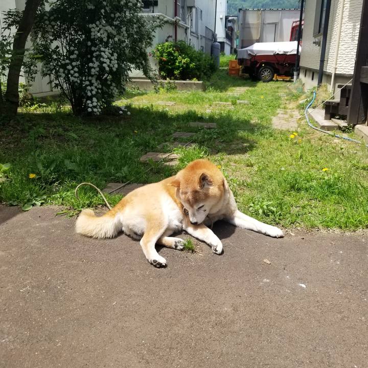 8cca3a19 89f5 4cf5 ae35 8a55b8dccb8c 1747794003618