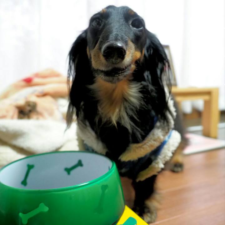 8cca565d 4166 4d16 9270 fbd6fc1b6bef 1550276214291