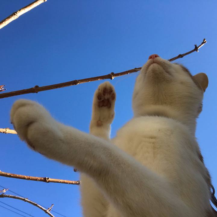 8cca7cc1 6aa6 477c 8208 58c18b35e585 1515738294699