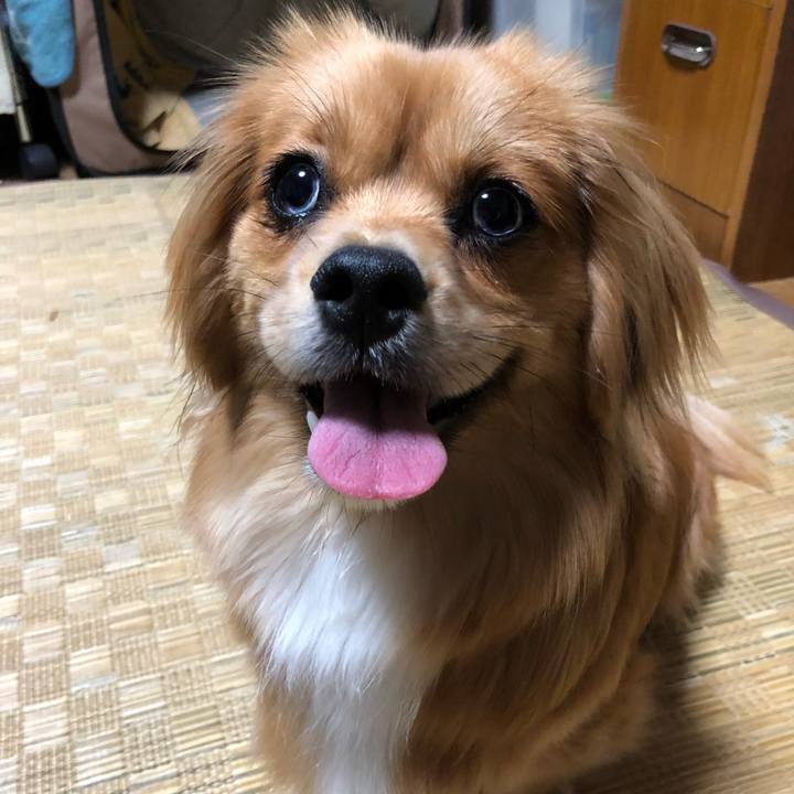 8ccab734 2467 49aa b984 85106ce5adfa 1525344535174