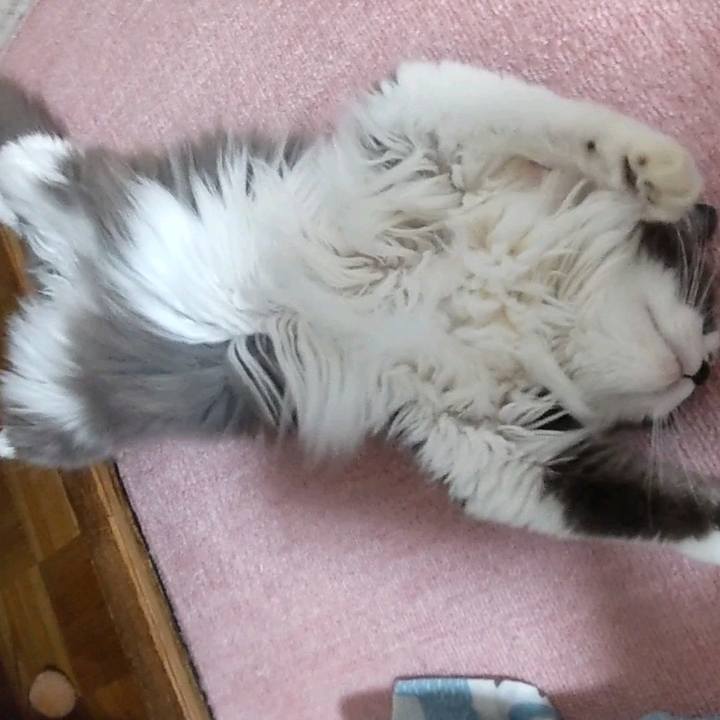 8ccabac4 ec58 47ea ab9e 572a89dfcde0 1653909227514