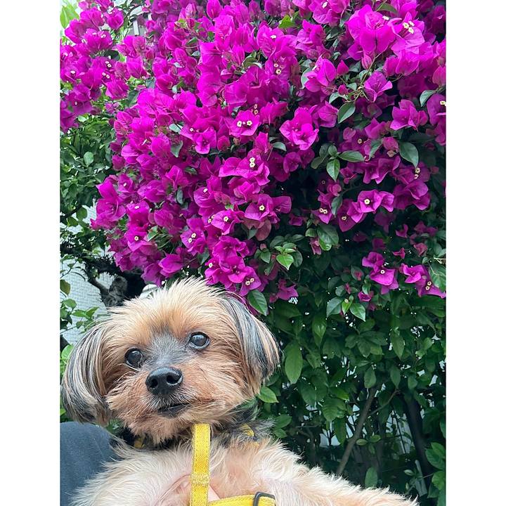 8ccae3ca 8cb0 4940 bfdb 04c185a5a2cd 1748151759925