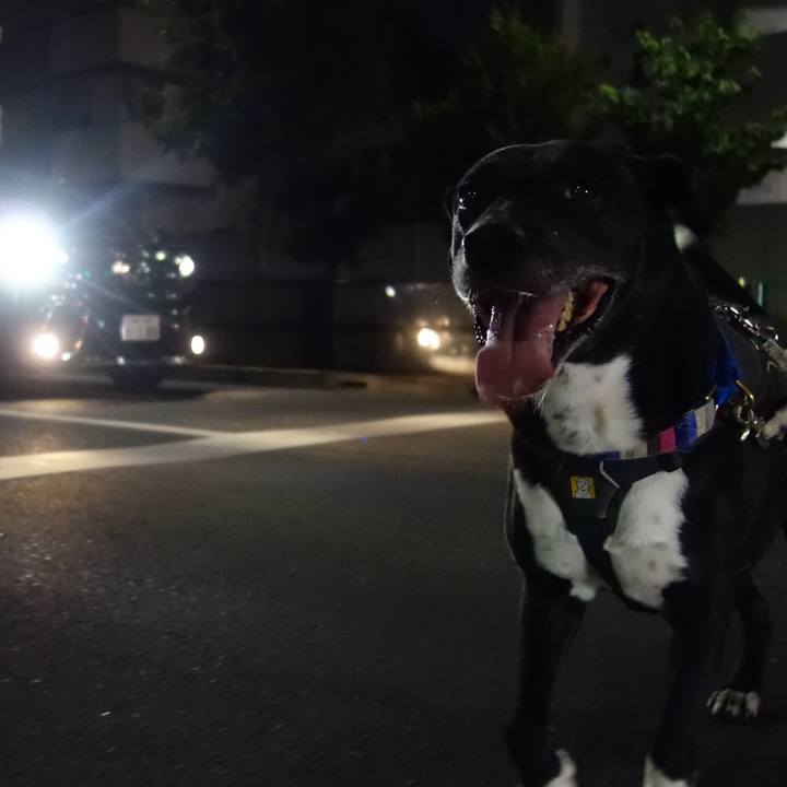 8ccaf8e2 3a59 4c69 8100 36d1897354d0 1661426747850