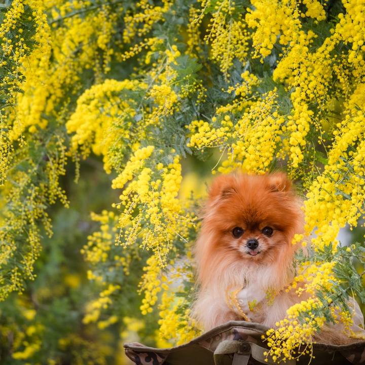 8ccb1df9 25bf 4da9 abe6 71f7e47c3728 1646723775388