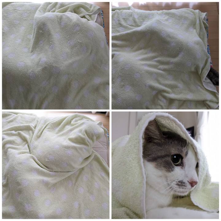 8ccb3aac 4c5a 4047 81f8 db749fa8f983 1692162388349