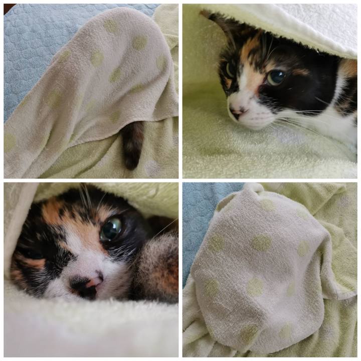 8ccb7643 9ff3 4f5d 860e 5e210f9bcd55 1626083749734