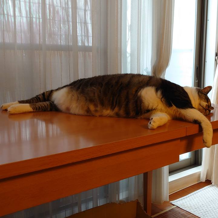 8ccb77dd 53ef 4330 a1eb 3a310f88f94d 1661335720606