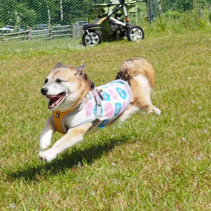 8ccb7fd0 0135 46a1 bad9 4eb3fd6a22f1 1530532557419