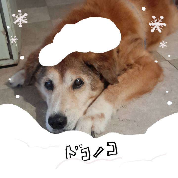 8ccbeb07 edb9 449f a901 b68c3d3dec56 1771983563999