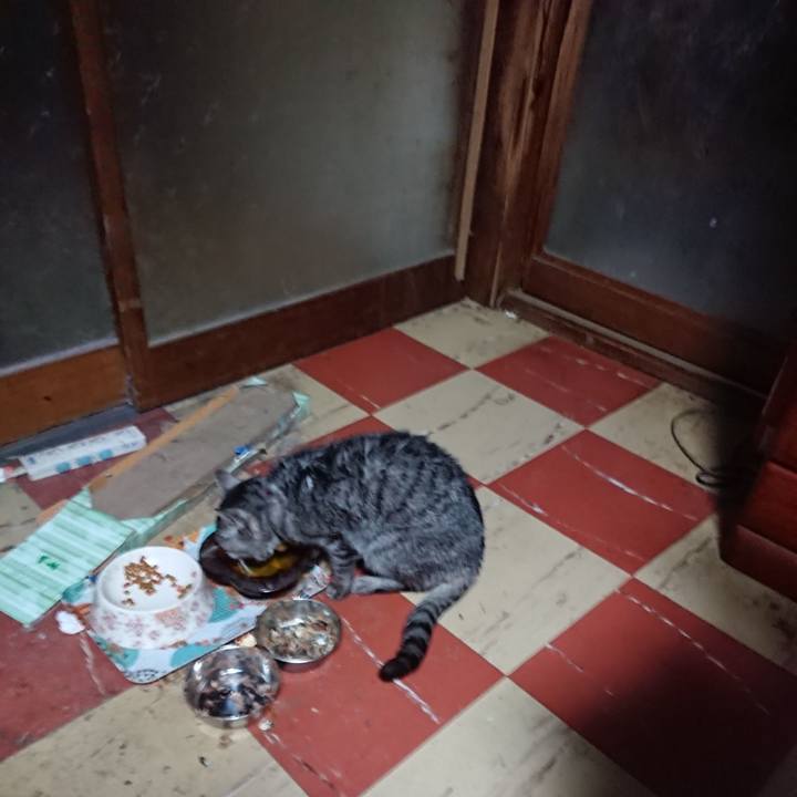 8ccc6713 3983 4011 a72d 5f36dbd49c7a 1578949415329