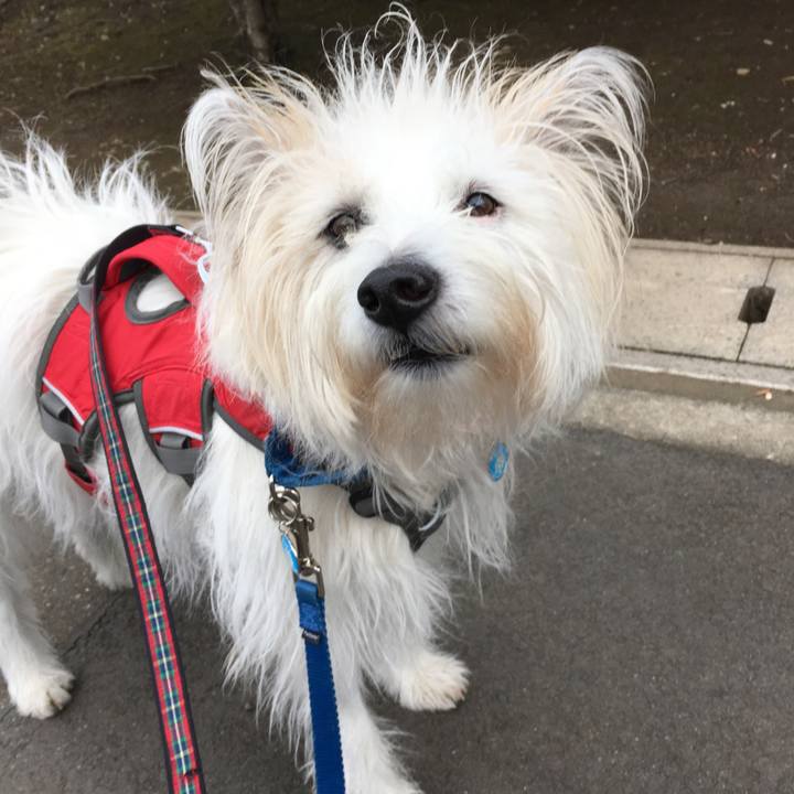 8ccc6851 e309 4a07 9947 07dc070d86bd 1544682188713