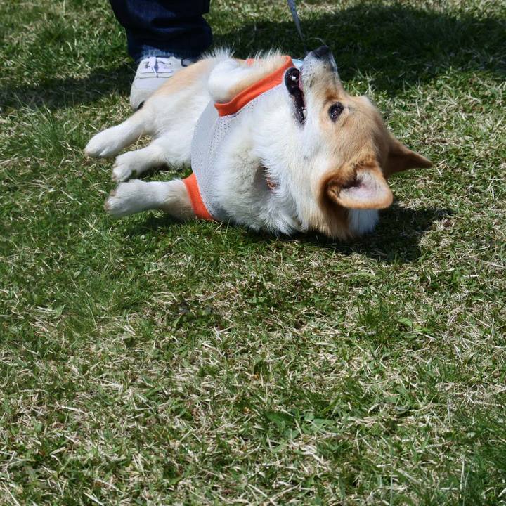 8ccc70da e711 4334 8fff fa95aef872d3 1525484198671