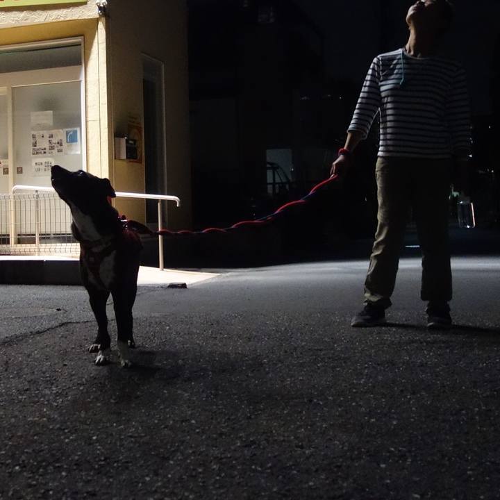 8ccc9211 294c 4766 afe7 ac9e6454f7cd 1602499518403