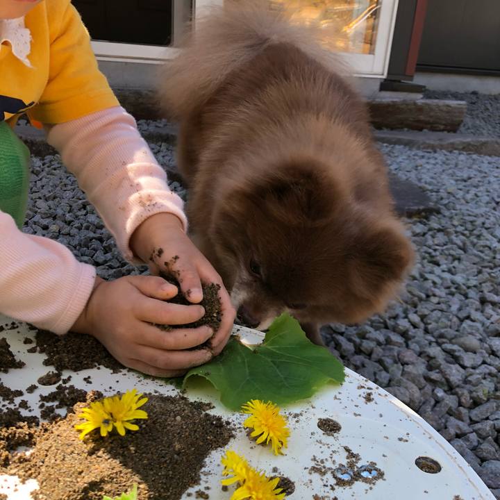 8cccb89c eed1 4403 b5cf 8ce81f157586 1556934315052