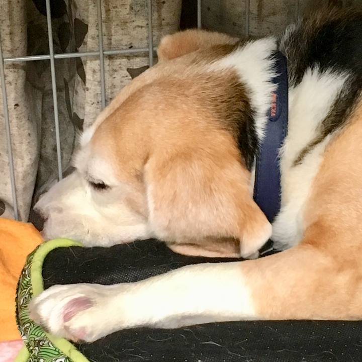 8ccd3c30 beef 4306 b93f e154fafedc9c 1752662627876