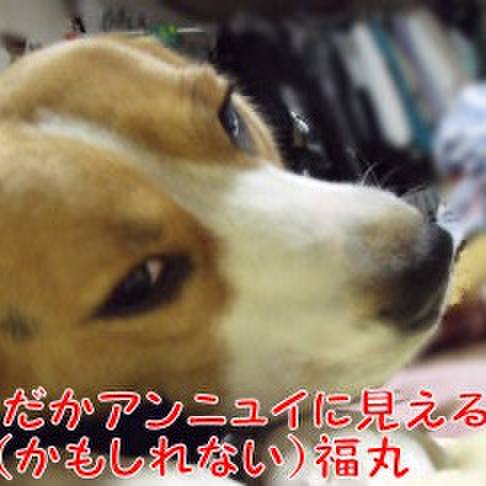 8ccd67d2 9b1c 4037 838d 6635de342e9a 1708297765890