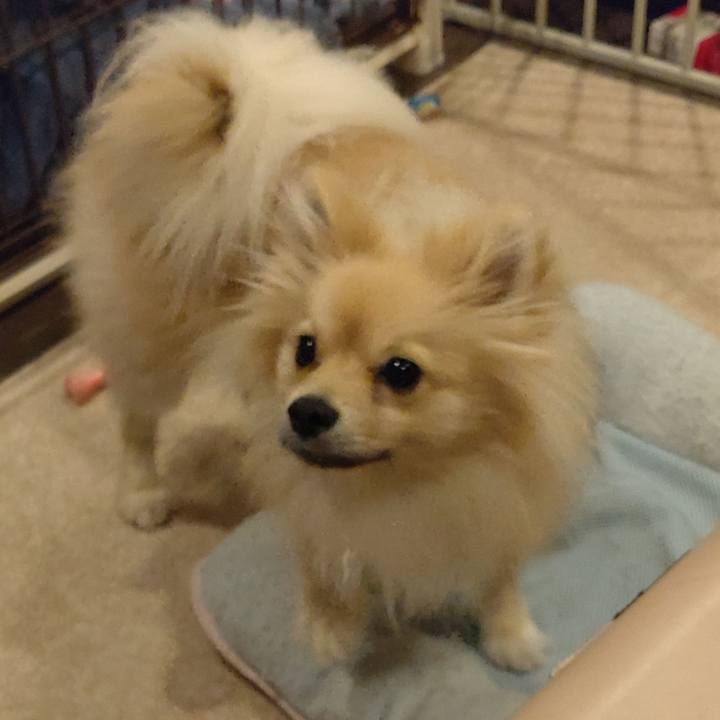 8ccd6f59 9084 4b5a 902b 8fd8d1b0591b 1747456333618