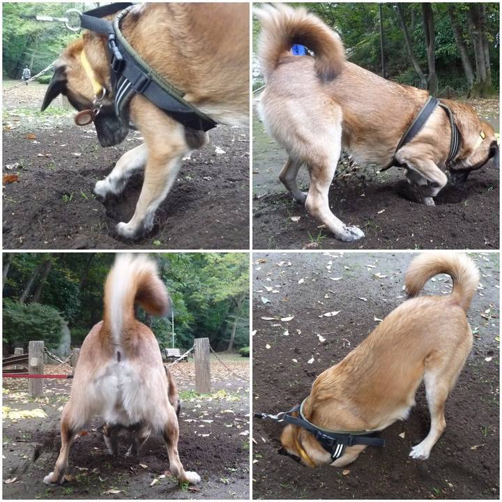 8ccd932c bbb6 4586 80fb 75f9acded0ed 1577148281940