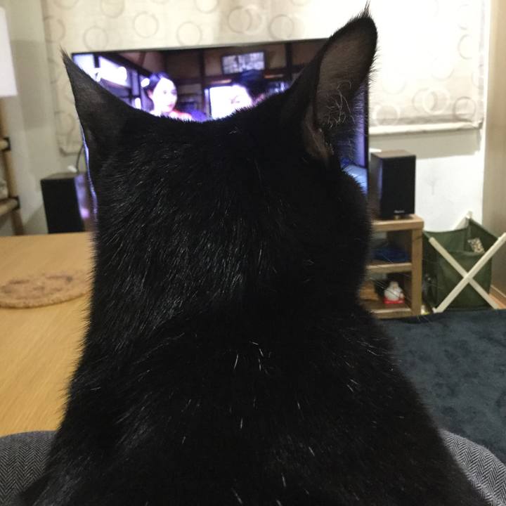 8ccdb98e 6904 489e ae63 61689787b9fb 1519599567874