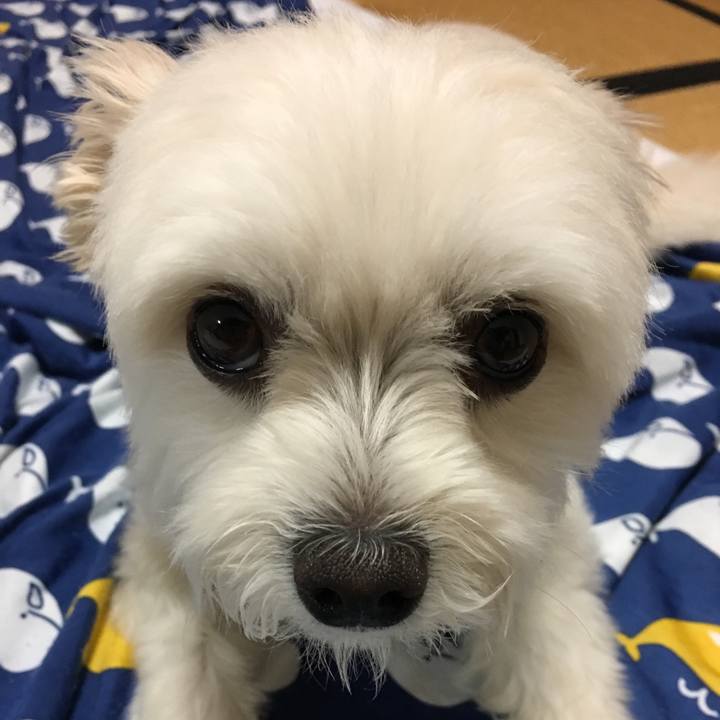 8ccdde48 8781 4581 bdc7 8f57188c5b32 1562499257679