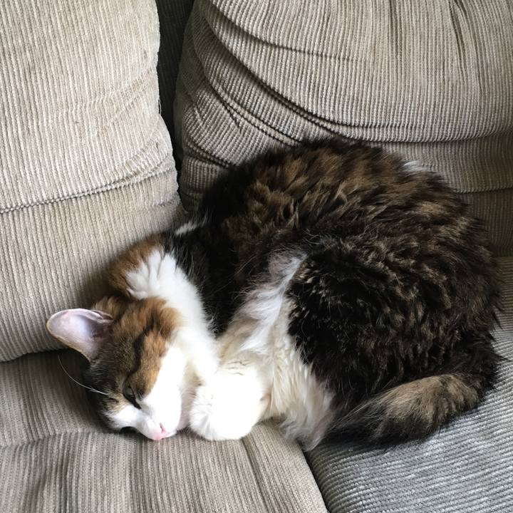 8ccde081 ce7f 43c1 910b d6d95f398876 1522127117570