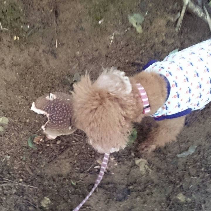 8ccde51f ab58 4e91 a9b0 4faa6d6afb5f 1536022709083