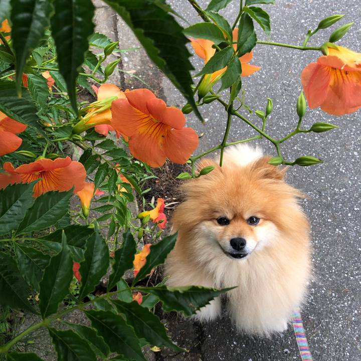 8cce20b3 eab7 413f 9e7f 9b5bb268245c 1562290273490