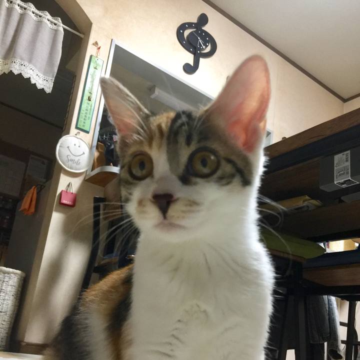 8cce6015 f3f3 4f21 ab22 b0af14041553 1635250410921