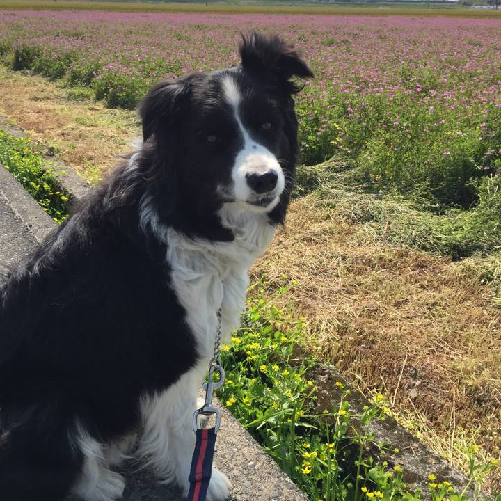 8cce6b91 4047 41ab 803e 9e5773294b57 1588296951216