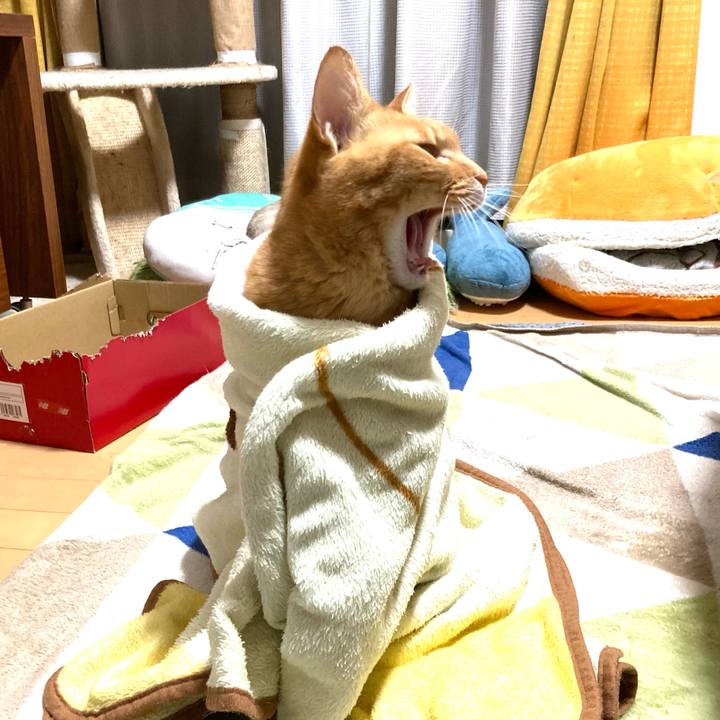 8cce99aa 5728 4d47 b99b 3f422379dfb1 1767347694537