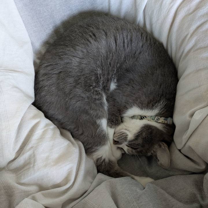 8ccea387 1c6d 4e2a b626 438f3160388f 1761701800760